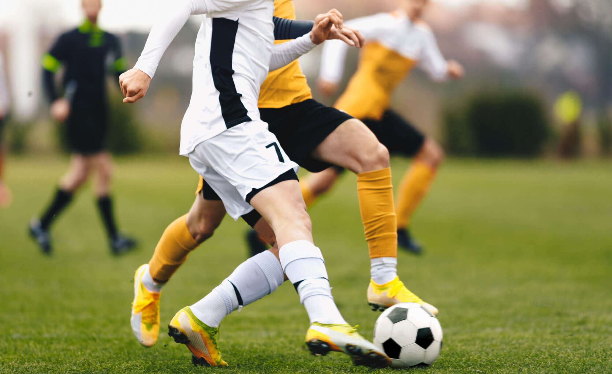 Annual ryegrass is widely used in hard wearing grass seed mixtures that are sown in periods of cold weather.