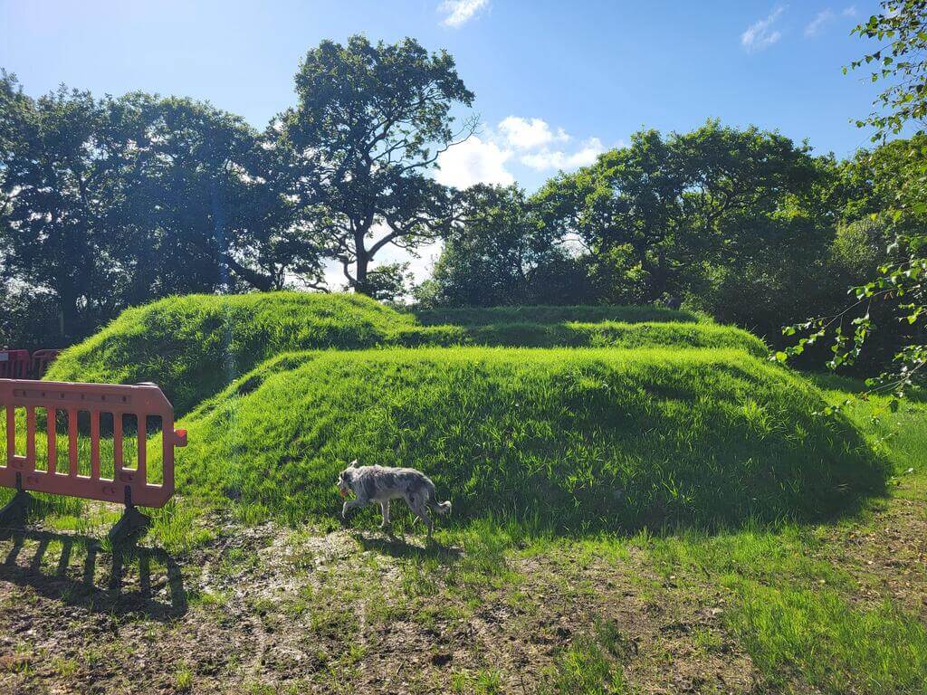Embankment Grass Seed