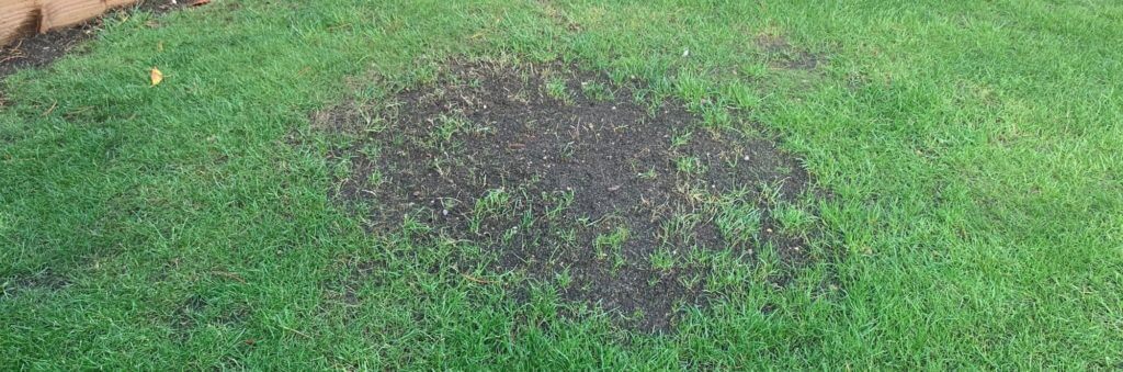 covering of topsoil