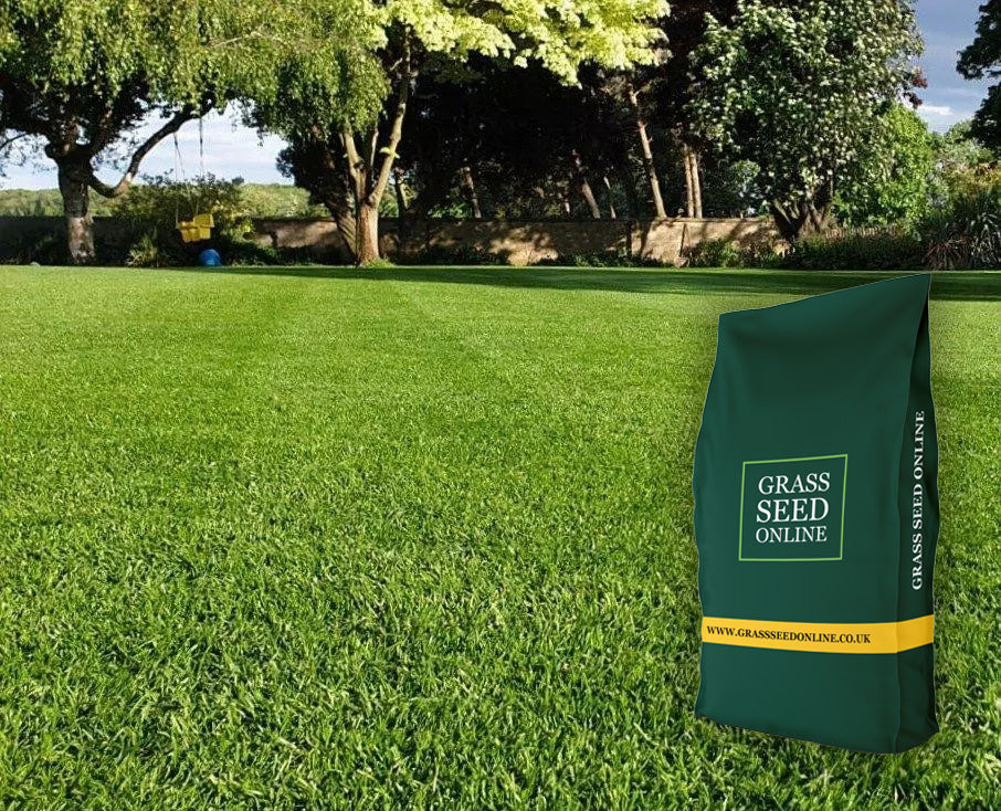 Striped family lawn with the real GSO bag