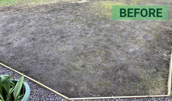 Boggy clay lawn before sowing