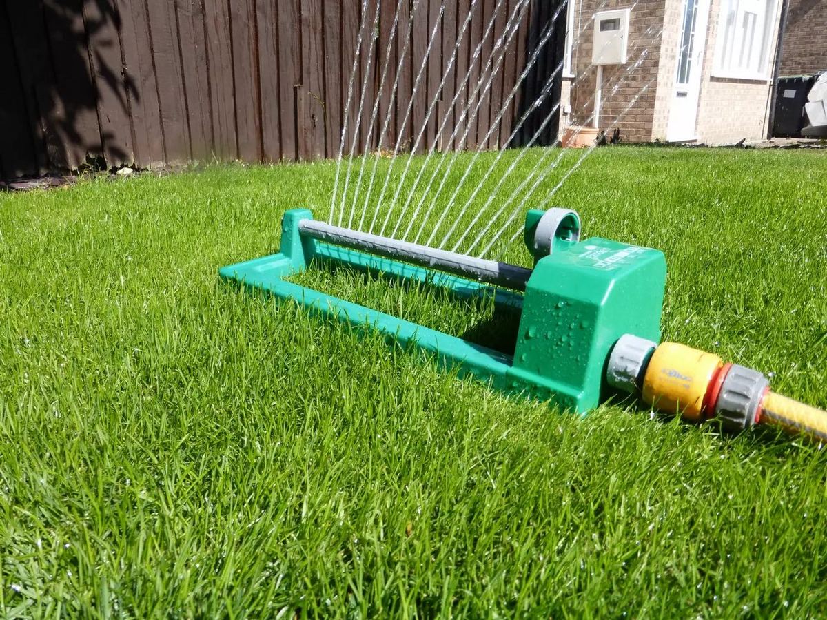 A green lawn holding its colour in dry weather