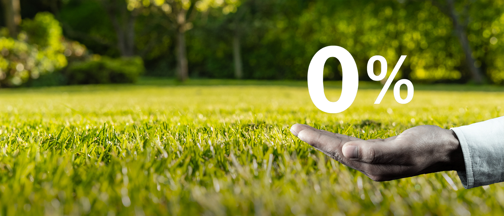 Why Grass Seed Is Zero-Rated for VAT in the UK