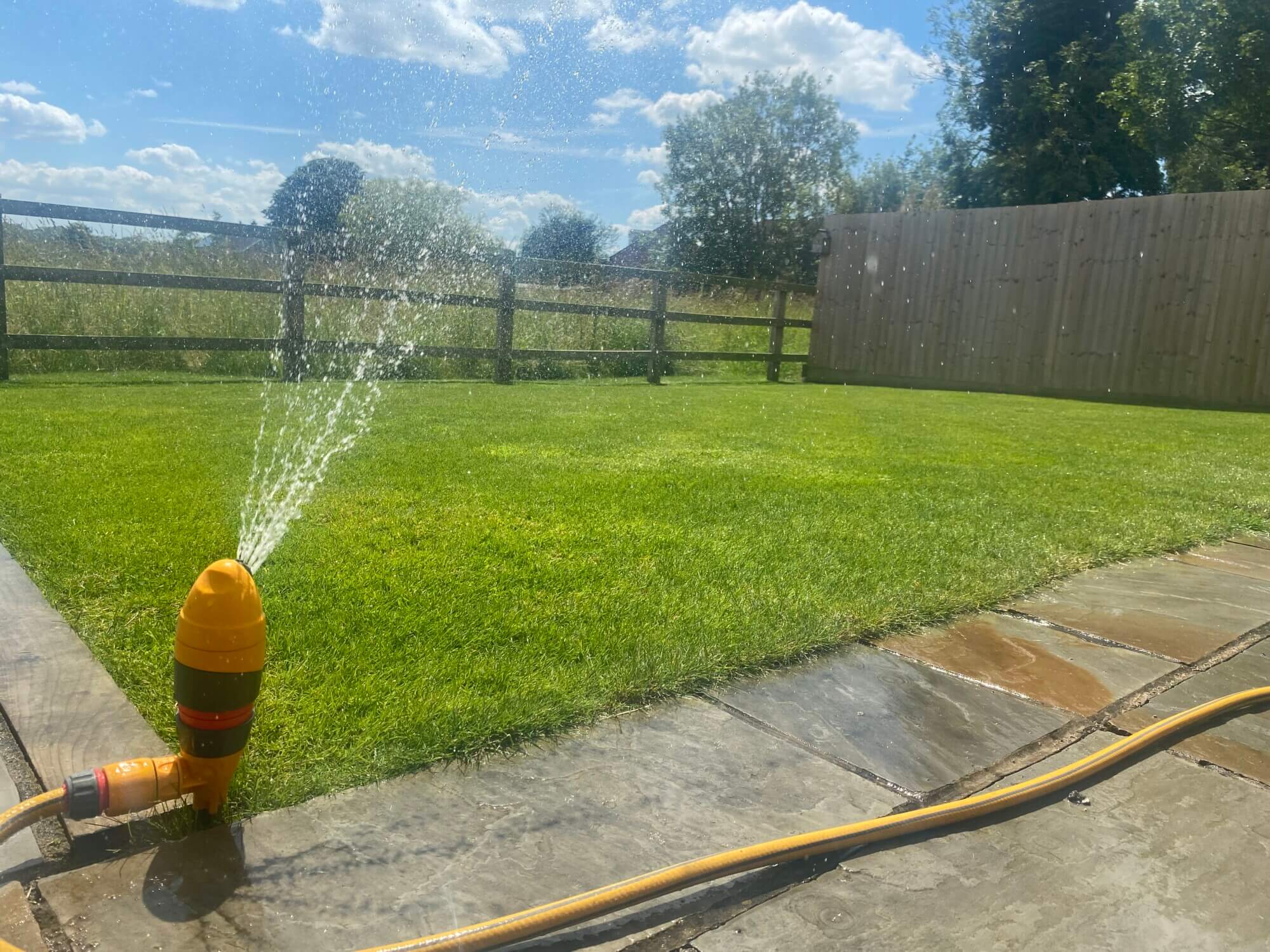 When should I water my lawn?