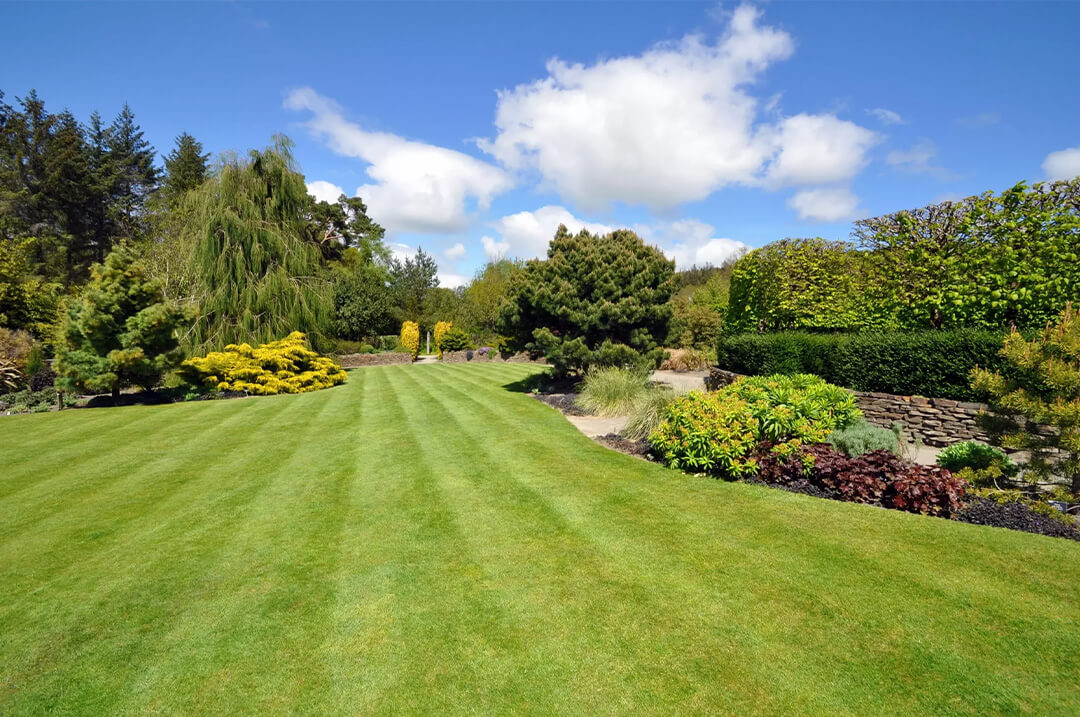 Striped lawn in a large public garden