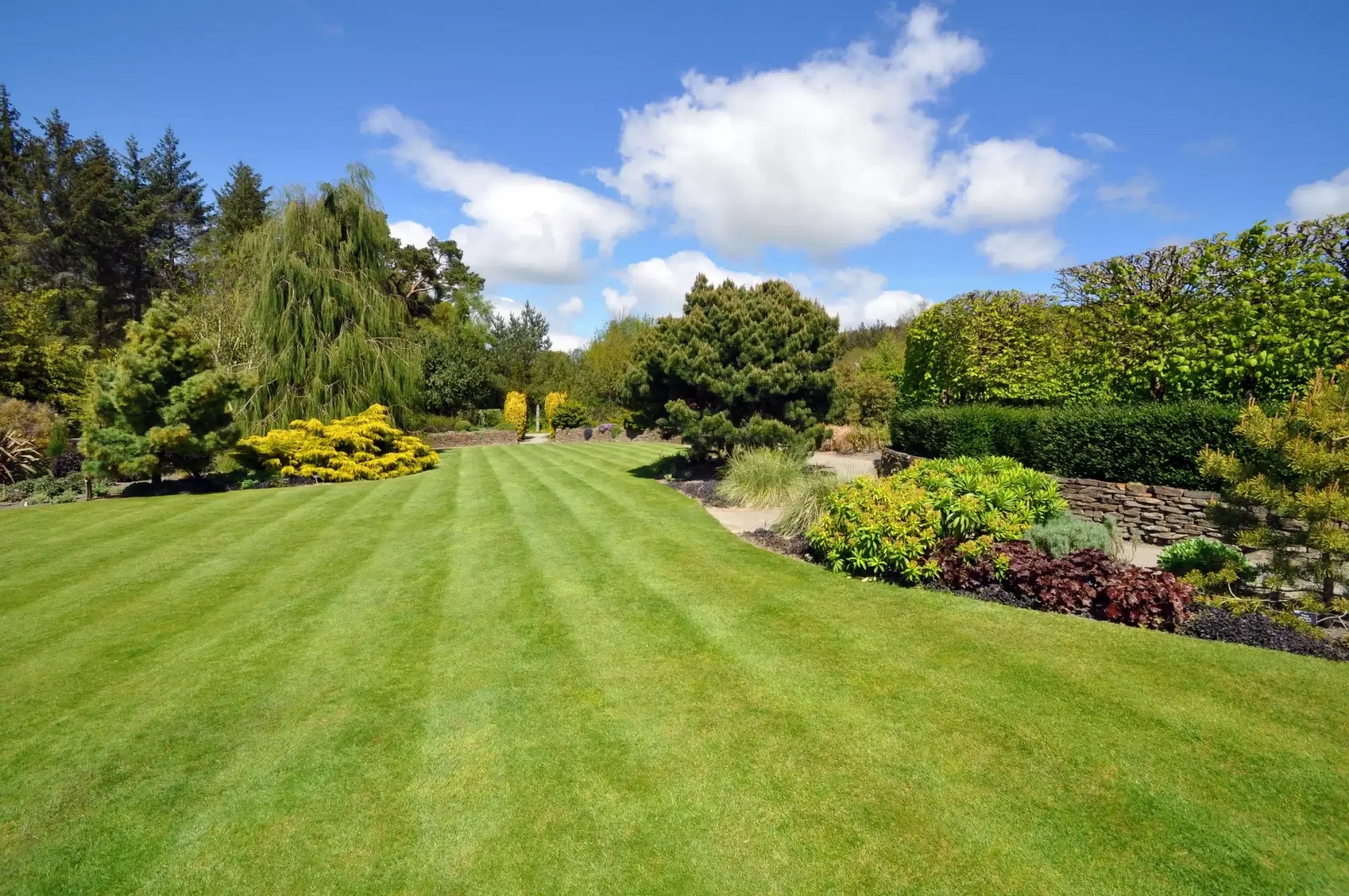 Can you just scatter grass seed on a lawn?