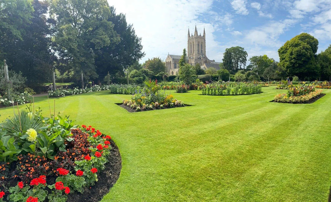 Why Buying Grass Seed from Grass Seed Online Can Give You a Better Lawn