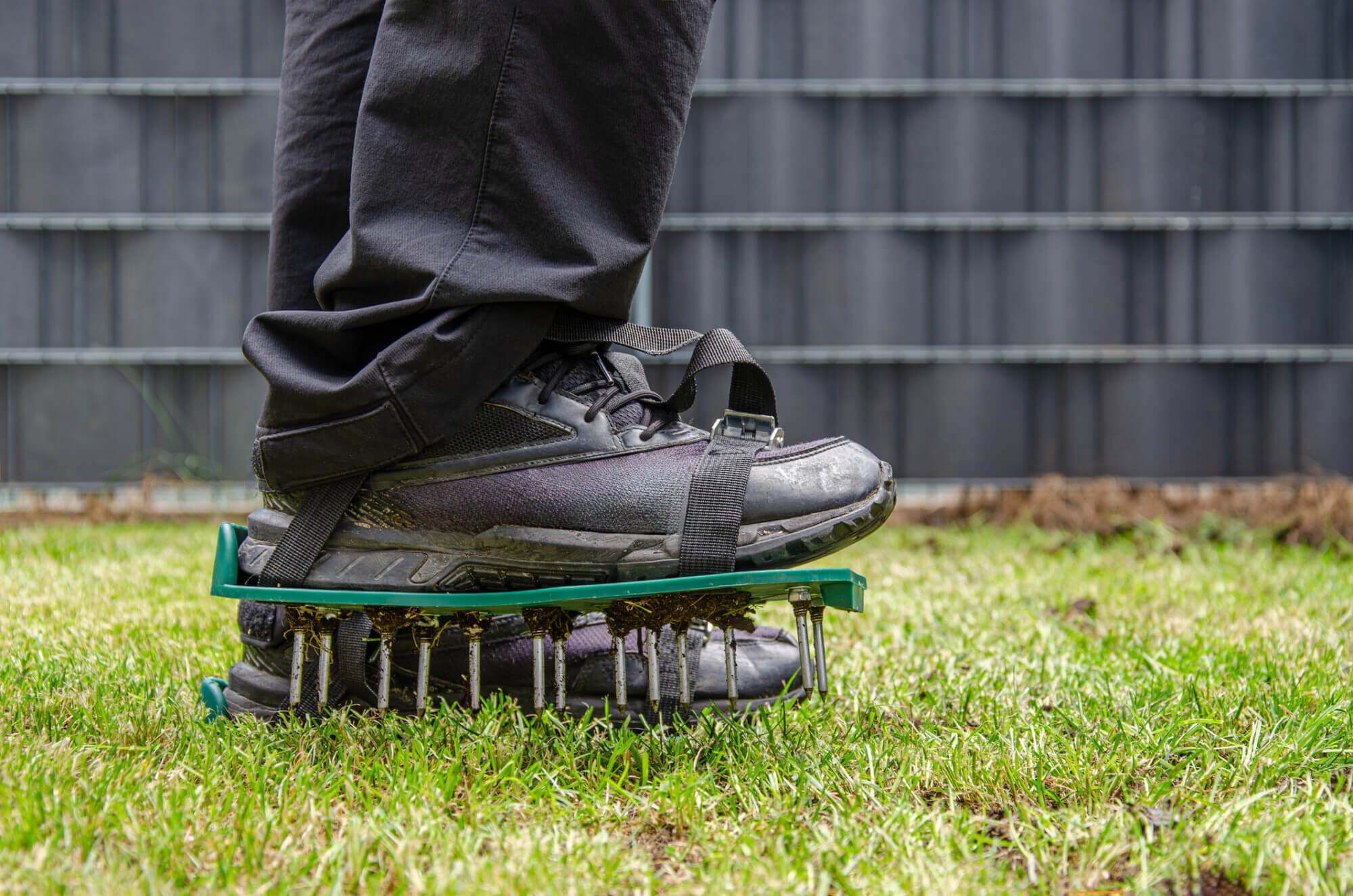 Close-up of lawn aerating shoes with metal spikes.|Lawn aeration