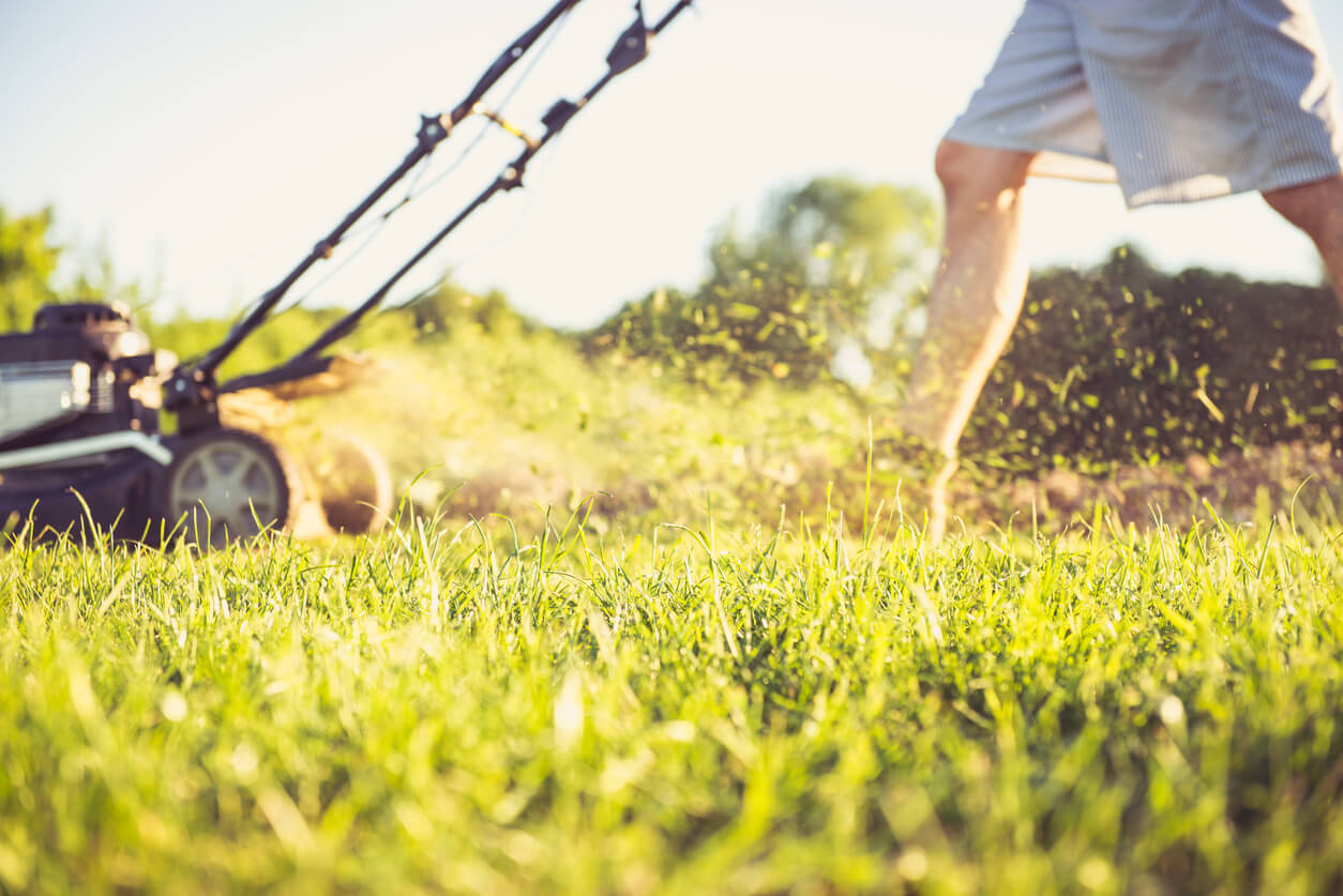 Summer Lawn Care Tips