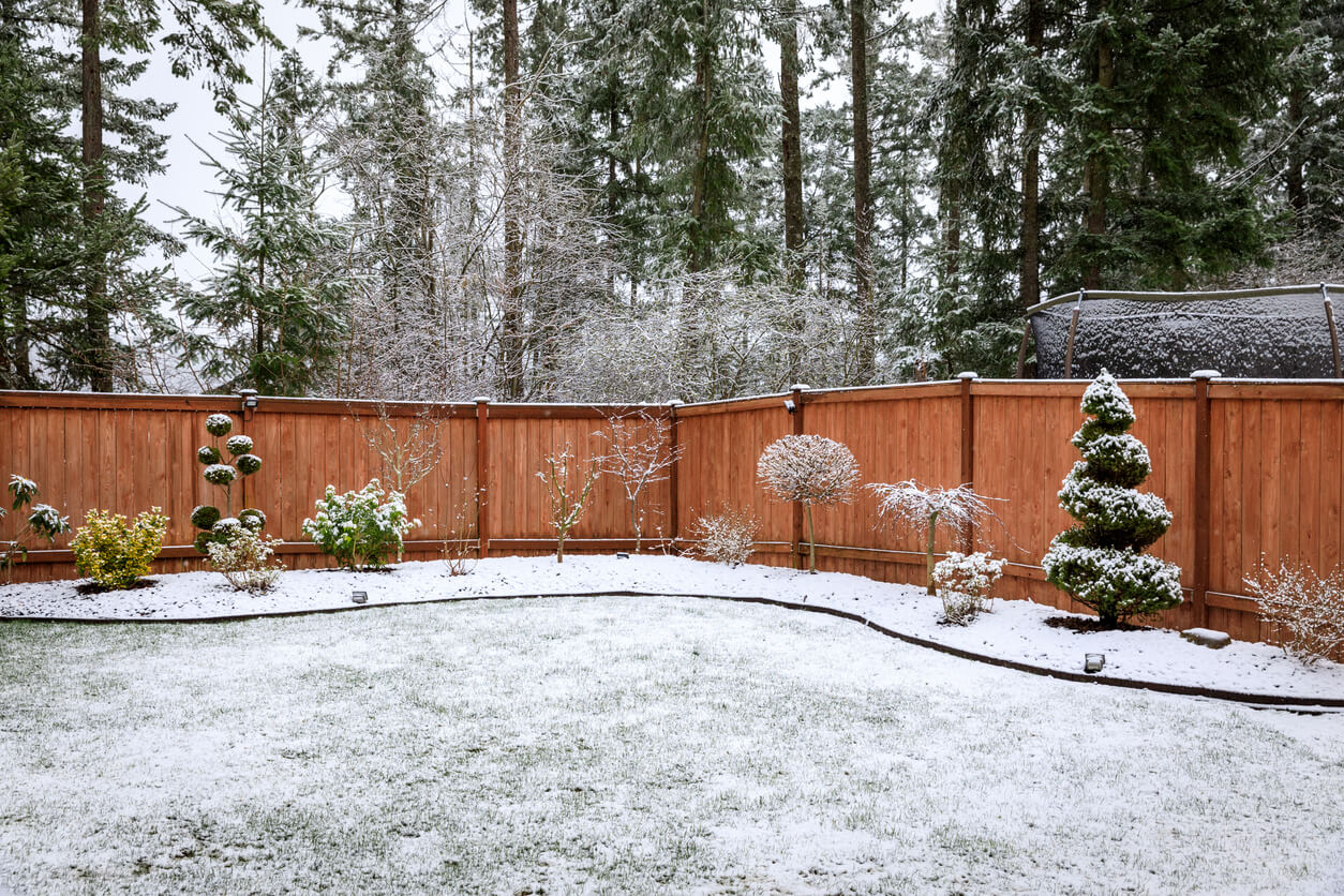 A photo of a corner of the garden covered in snow.