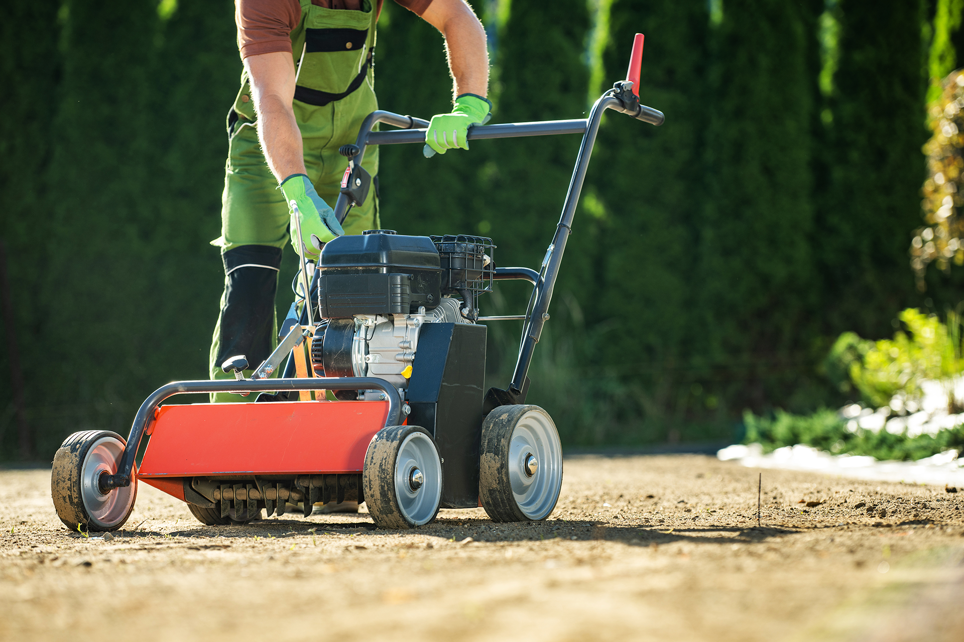 Scarifying lawn