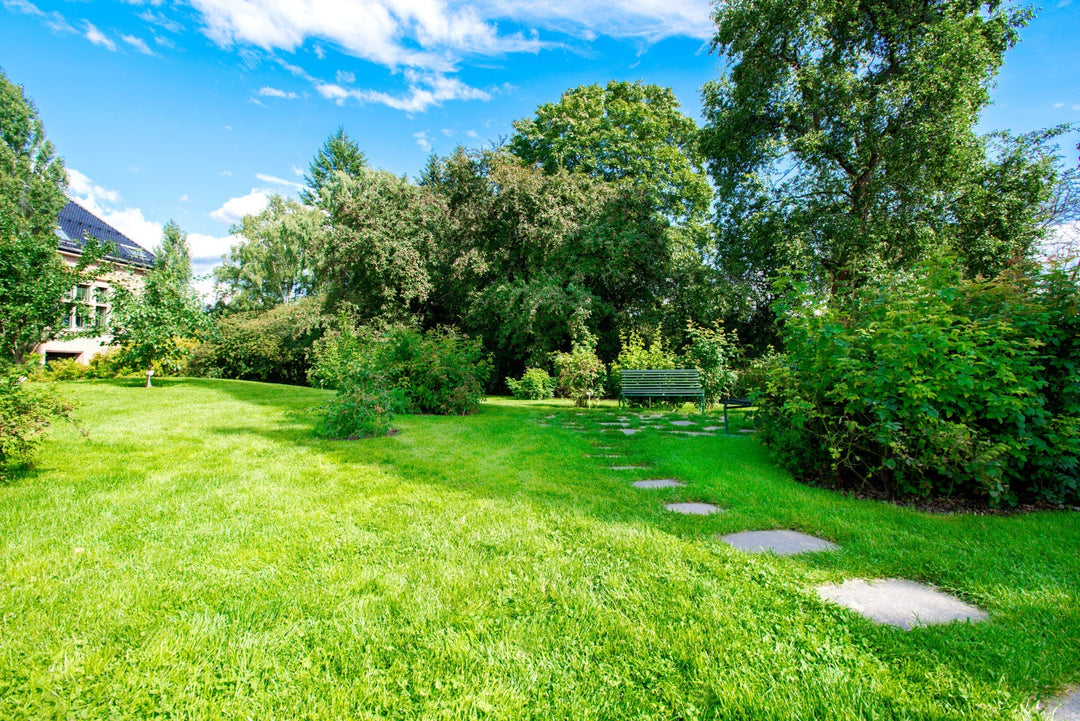 Still Time to Grow: Why Late Summer is Perfect for Seeding, Feeding, and Sowing