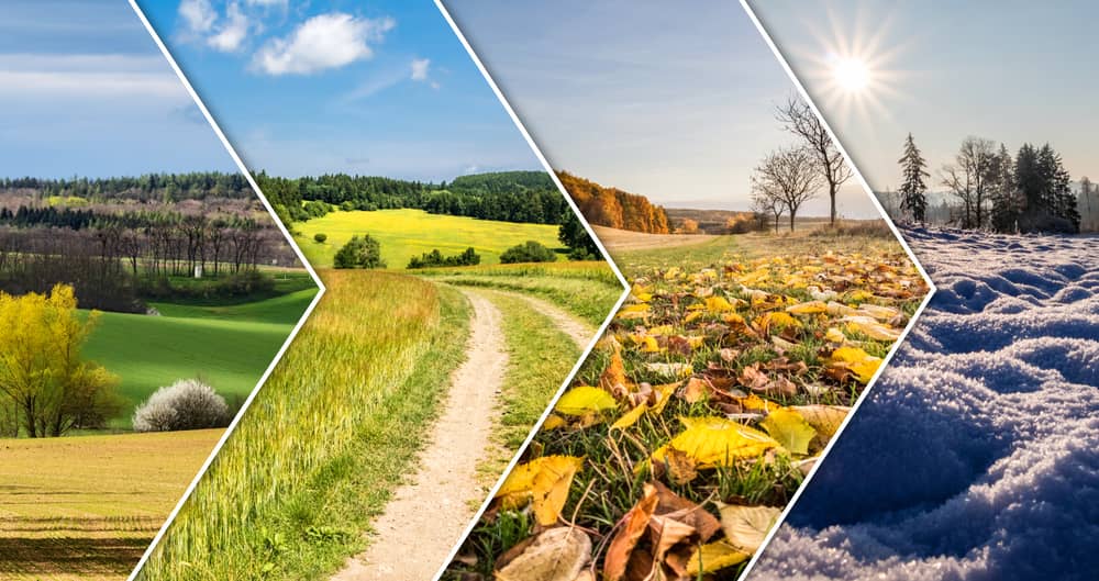 When is it too late to plant grass seed? Picture of grass in spring, summer, autumn and winter settings showing different seasons.