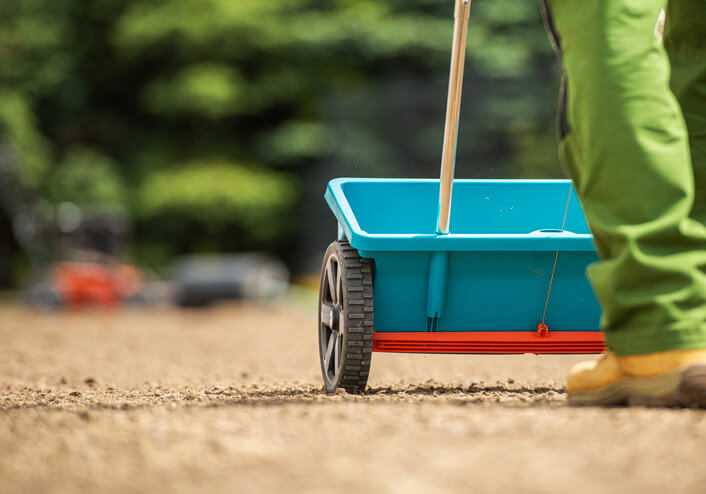 Grass Seeding Spreader in Action. Creating New Backyard Lawn.