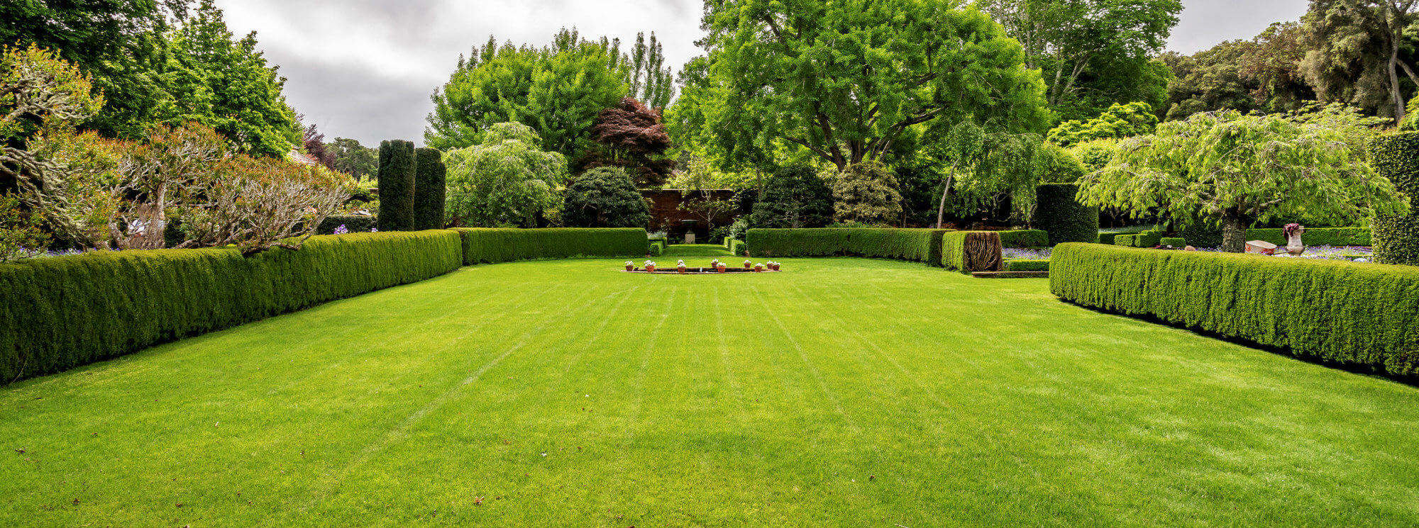 Lawn & Landscaping
