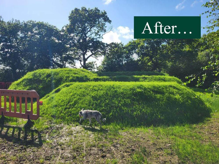 Embankment Grass Seed After Seeding