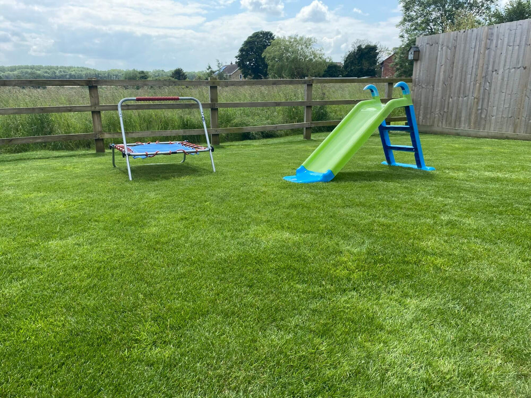 hard wearing lawn
