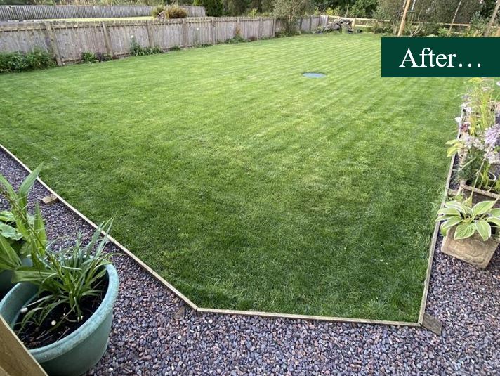 Wet Soils Grass Seed After