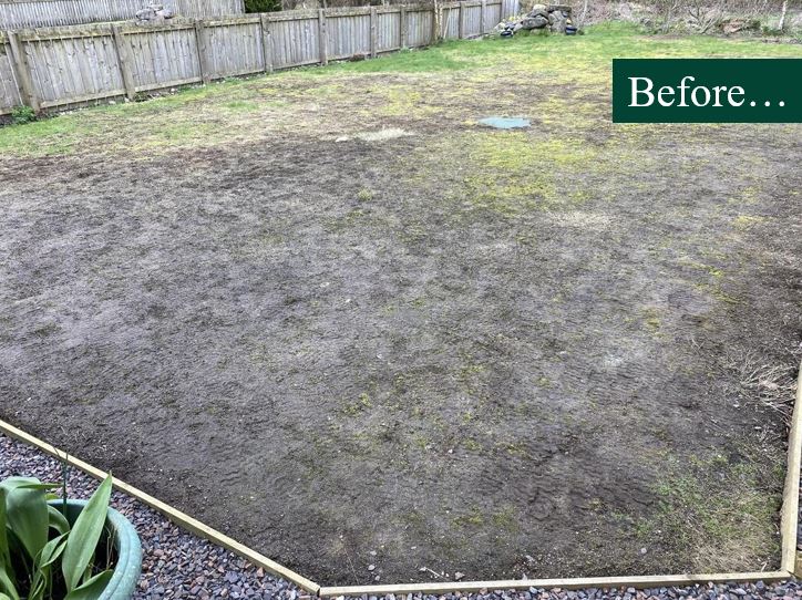 Wet Soils Grass Seed Before