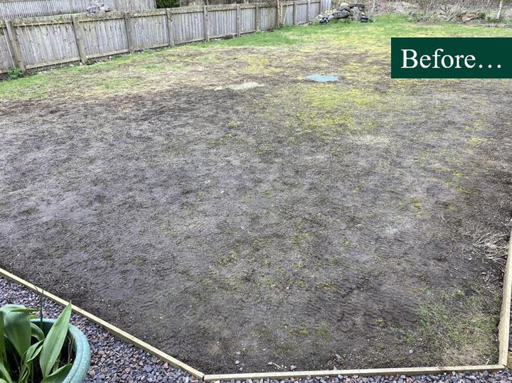 Wet Soils Grass Seed Before