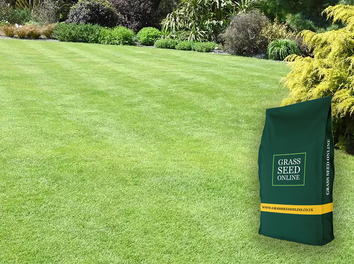 Value Grass Seed