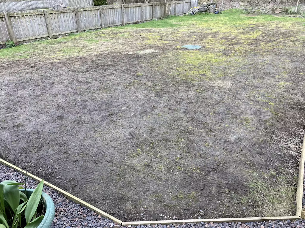 Before: worn lawn