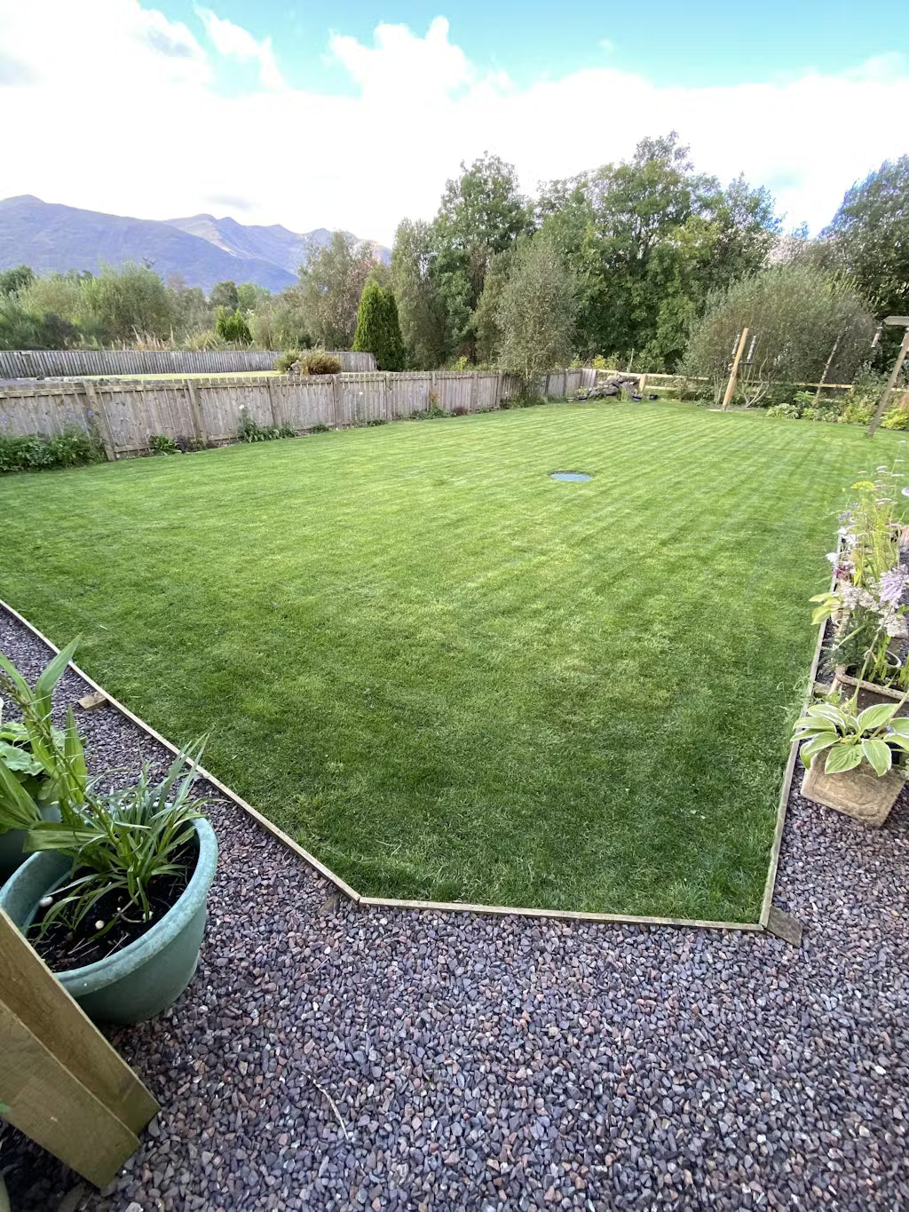 Established green lawn