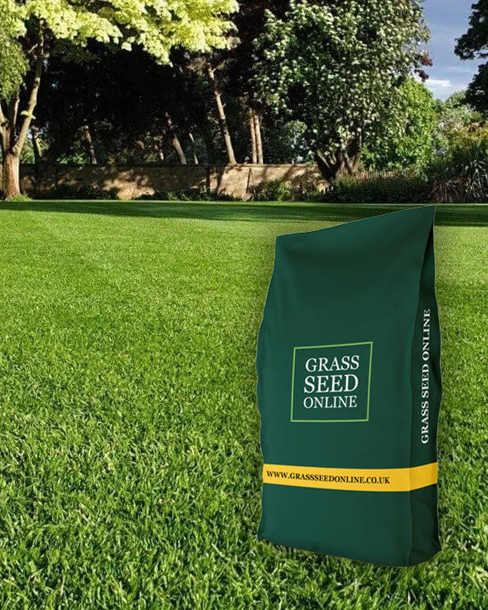 Grass Seed Online bag on a family lawn