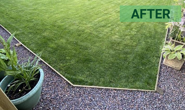 Clay lawn transformed
