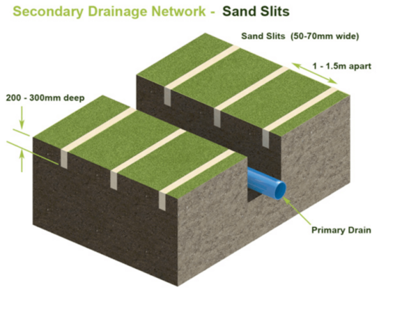drainage network
