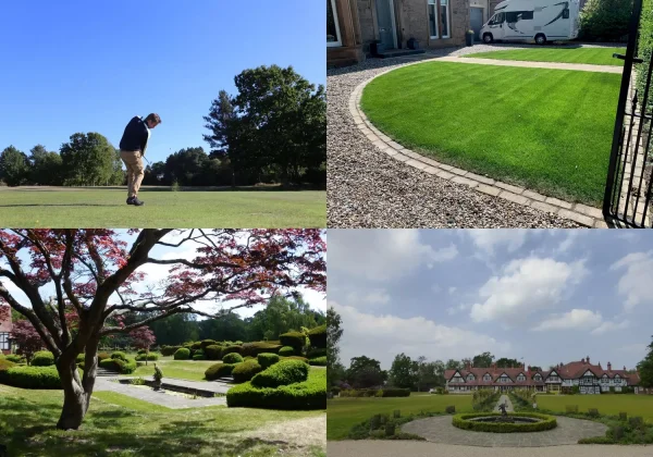 Multiple images of grass lawns and a golf green