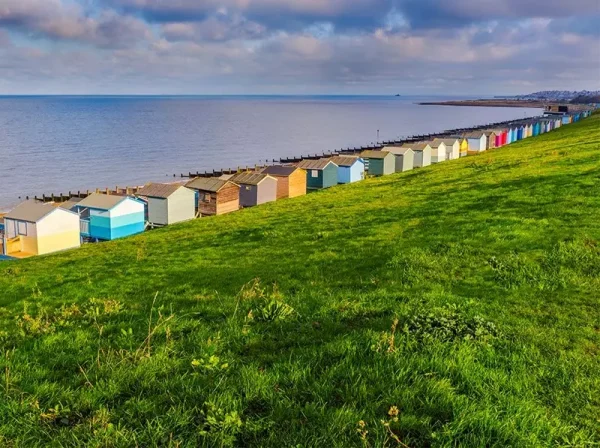 Beach huts lining the coast with a costal lawn in the foreground.
