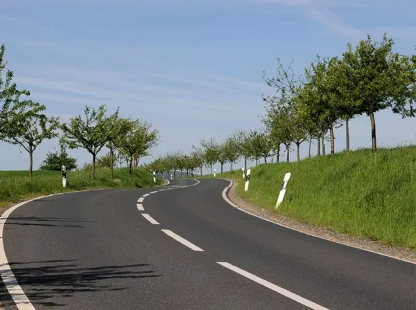 Road verge covered in grass. Blue sky. Sunny day.