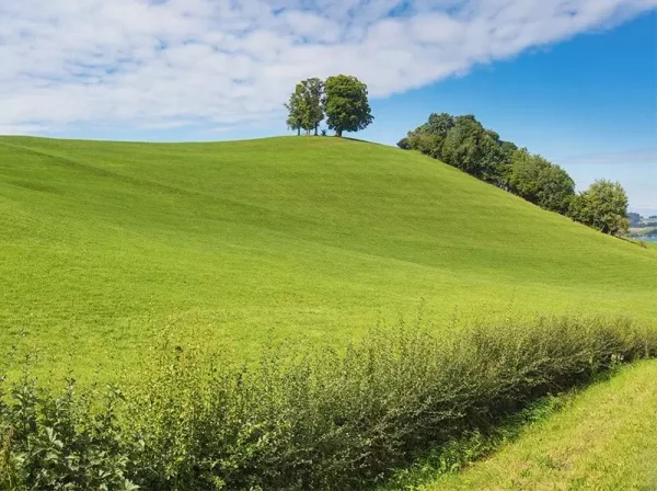 Embankment covered in grass