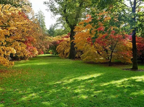 Grass covered in shade in a park