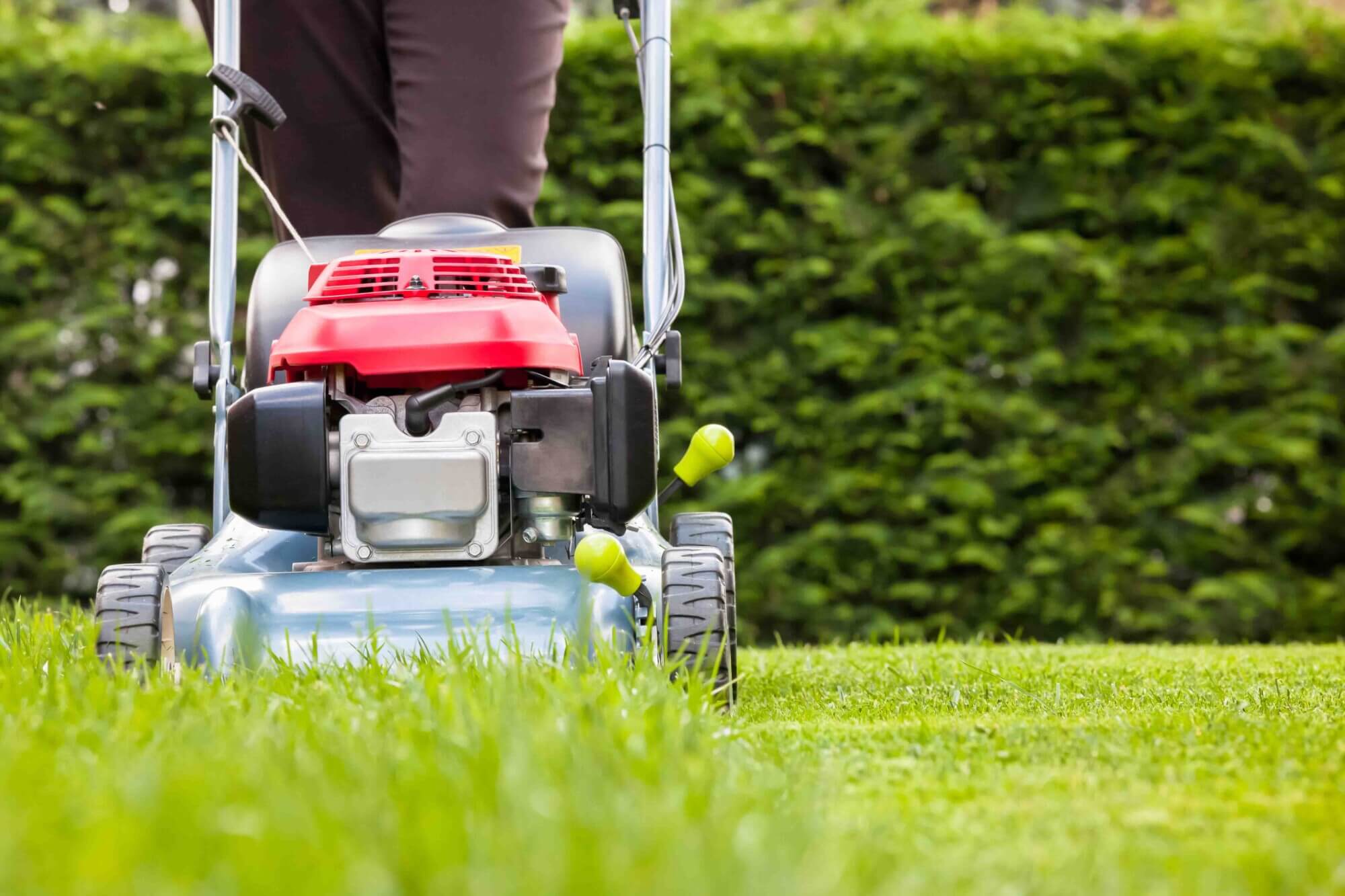Mowing a on sale new lawn